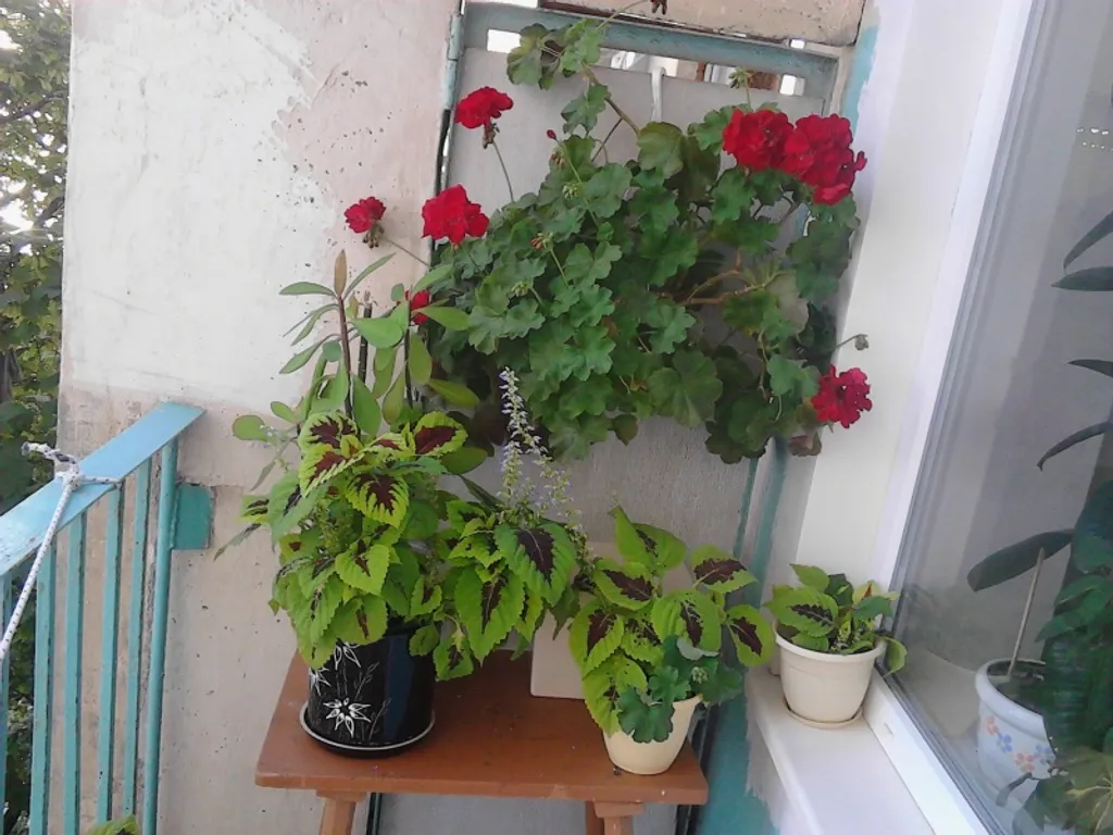 Квартира 2-комнатная Квартира — Севастополь