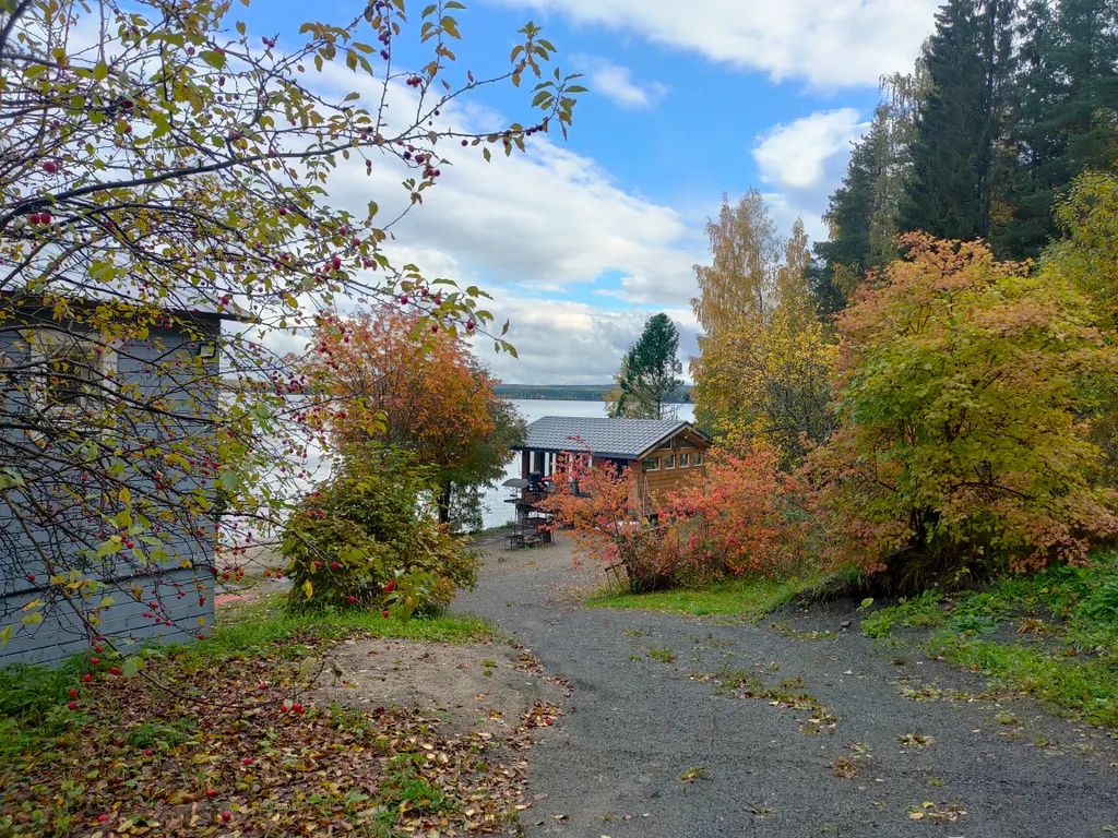 Дом на берегу озера без соседей