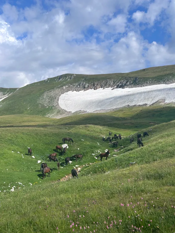 Уникальный дом-баня с собственной террасой