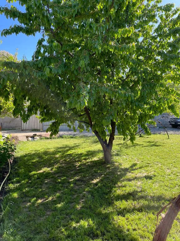 Загородный дом maxapart