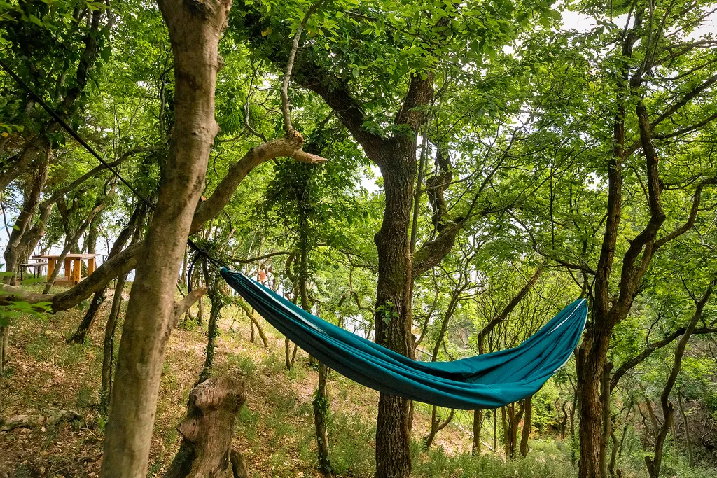 Панорамные апартаменты делюкс с террасой и видом на парк