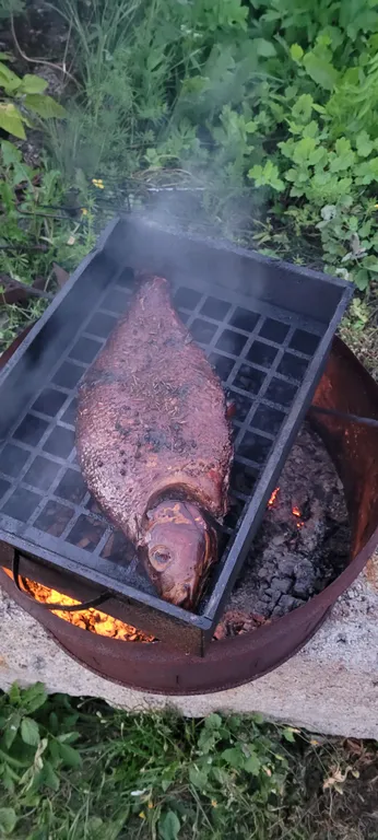 Уютный домик с сауной у реки