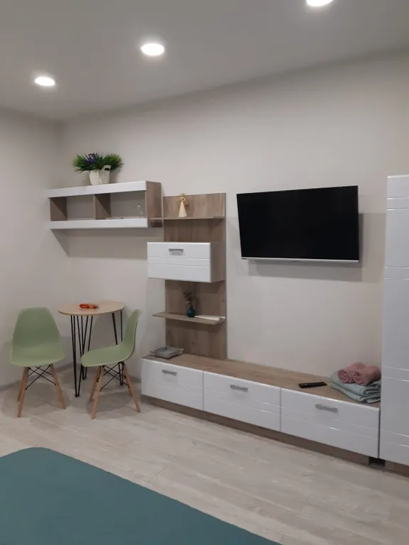 Квартира Квартира Студия у аэропорта — Шушары