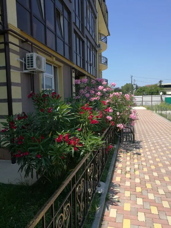 Квартира Уютная квартира в Нижнемерентинке — Сириус