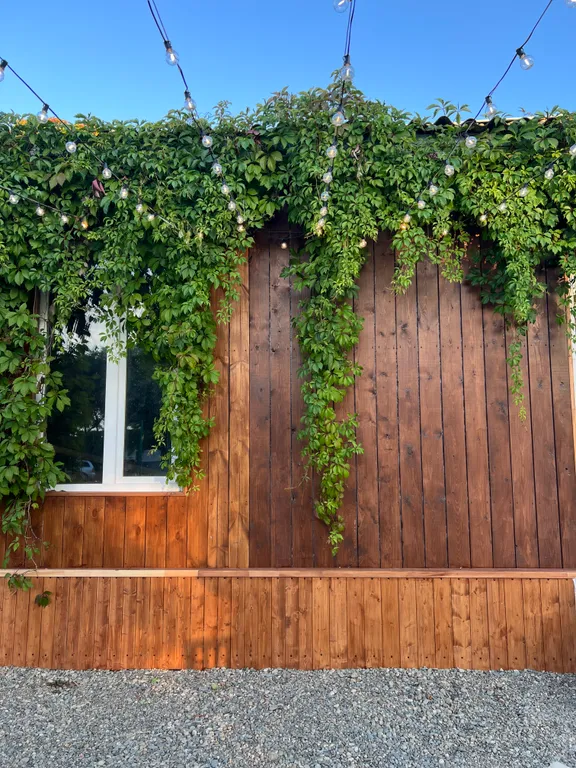 Уютные апартаменты на берегу Азовского моря