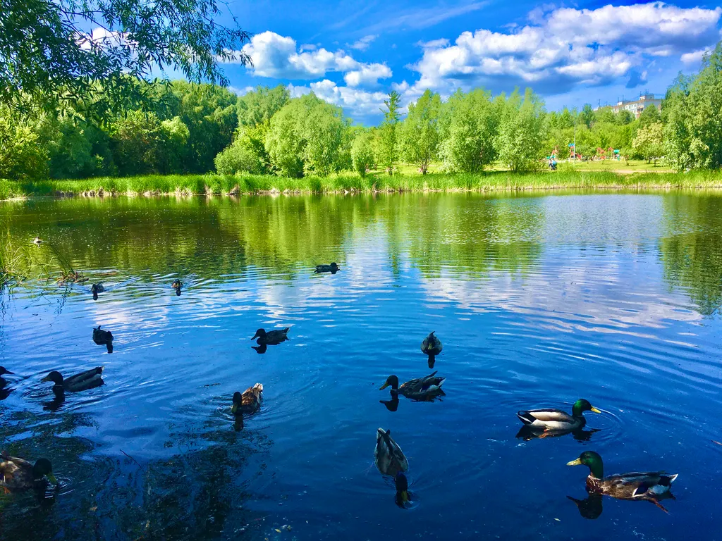 Квартира Квартира около парка Воронежские озёра — Самара