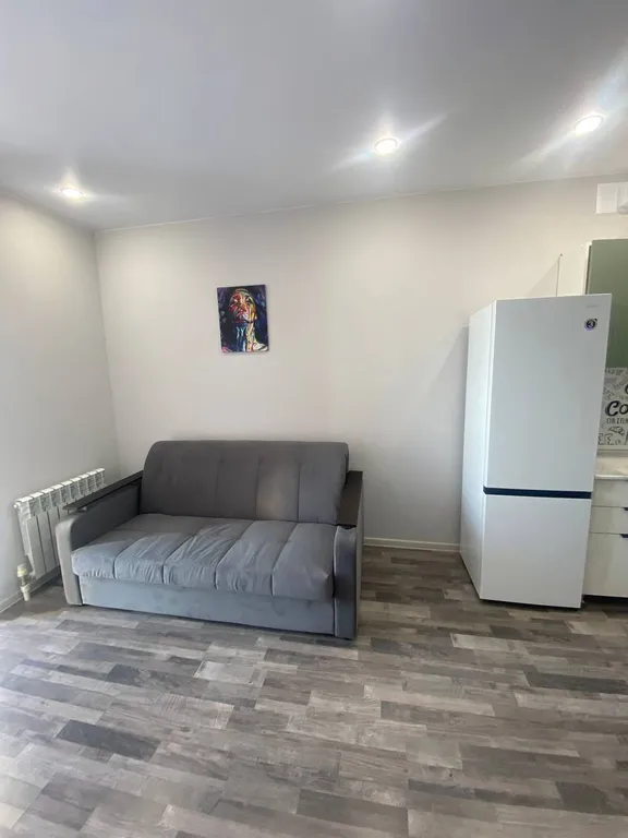 Уютная студия в центре города