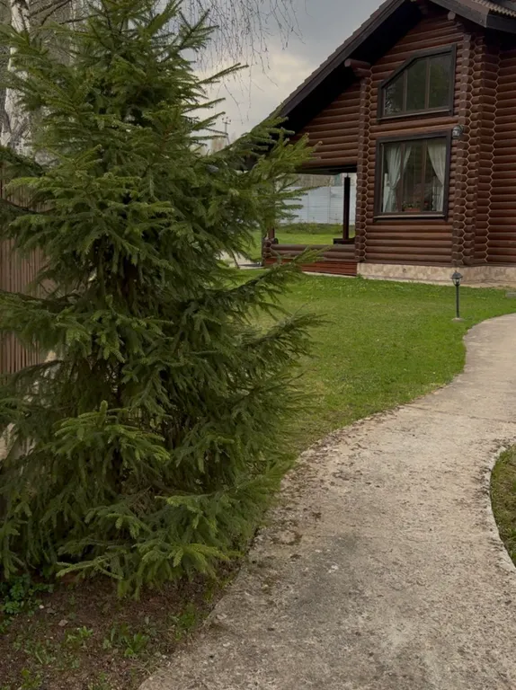 Домик у леса с видом на пруд