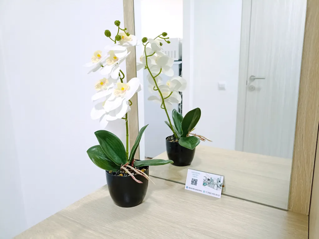 Студия морская у онкоцентра