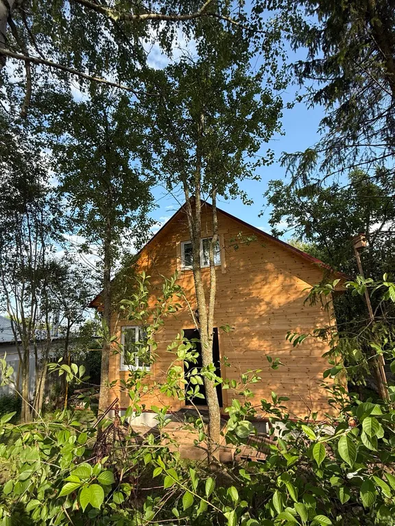 Березовый сад