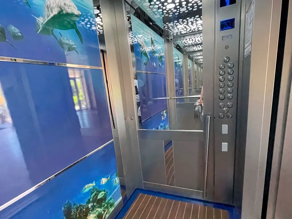 Студия Пионы на берегу моря