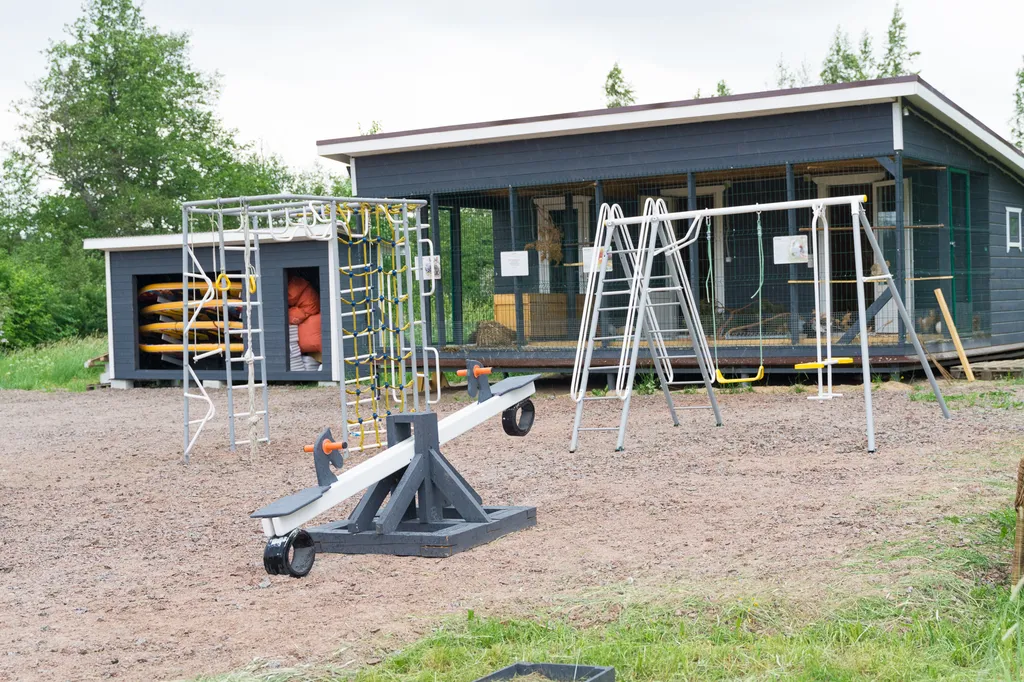 Коттедж Тишина, красота, уют в домике на берегу озера — Глубокое (Каменногорское г/п)