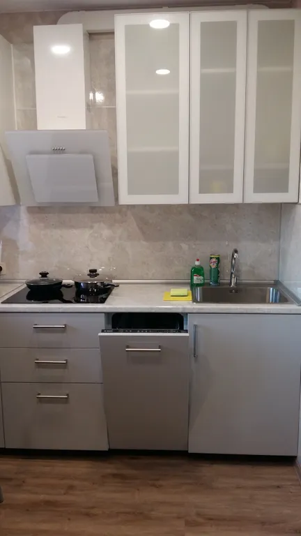 Квартира 1-комнатная Квартира — Луга