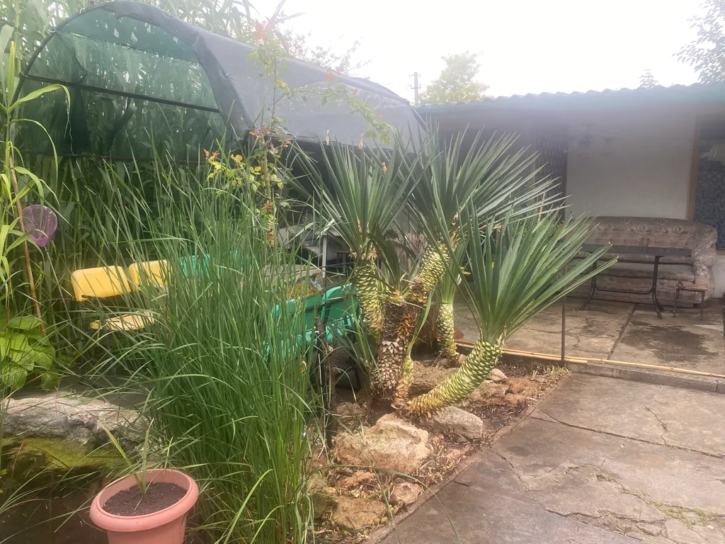 Квартира Комната — Черноморское