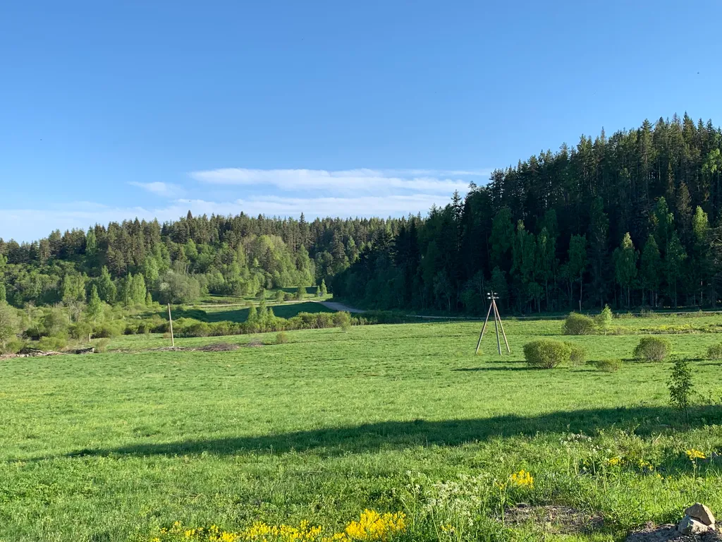 Хюгге микли