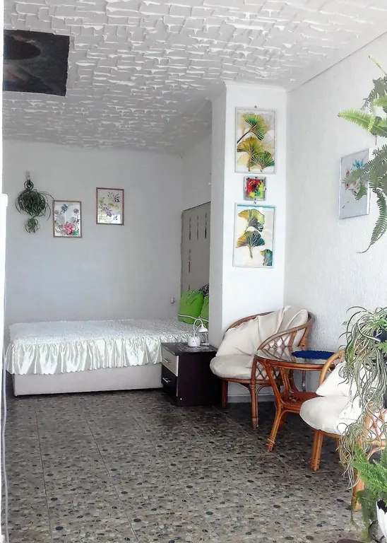 Апартаменты с террасой