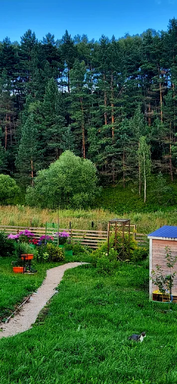 Коттедж на берегу реки с видом на сосновый лес