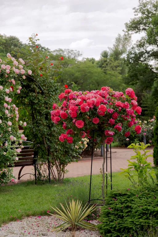 Апартамент с террасой