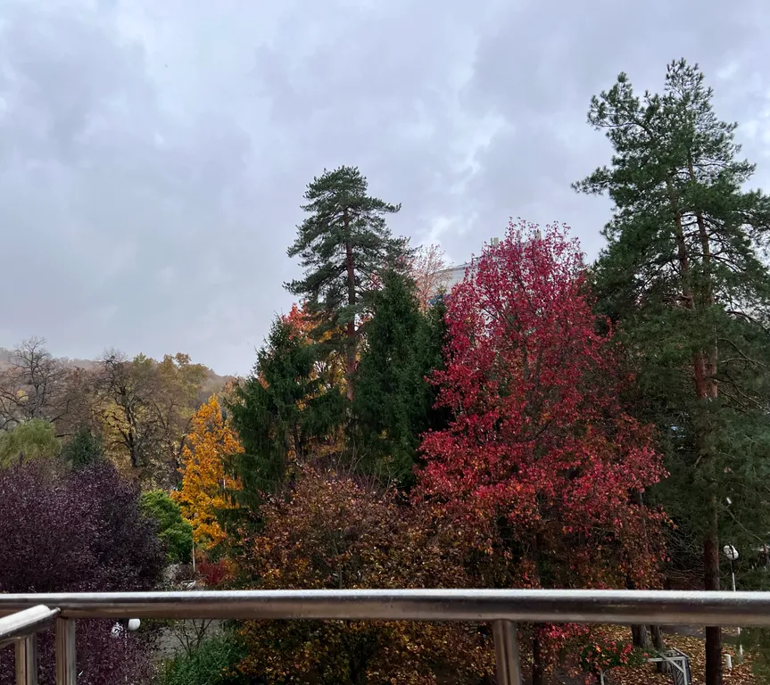 Квартира 3-х комнатная квартира в санаторном парке Горячего ключа — Горячий Ключ