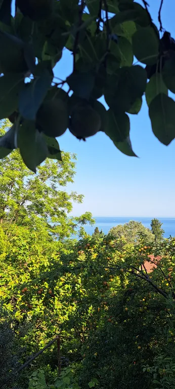 Коттедж Эко-дом Пандадом 500м море — Сочи