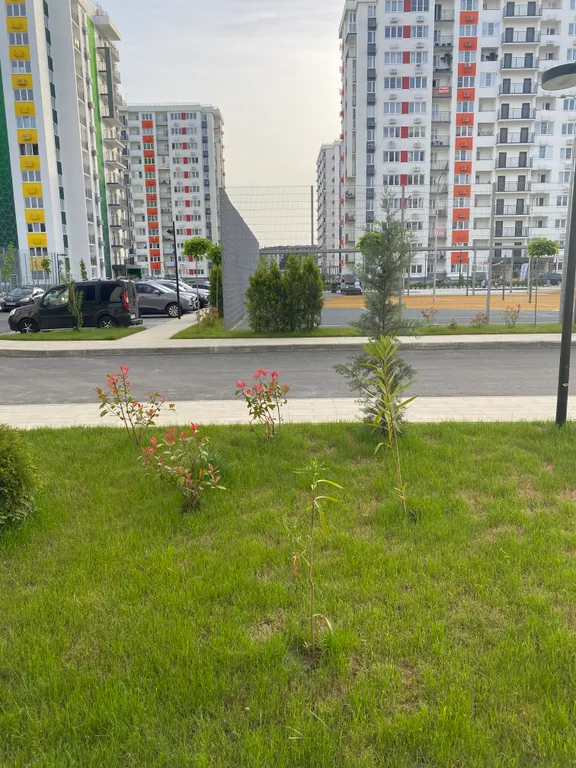 Квартира Уютная квартира после ремонта — Сириус