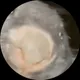Пользователь