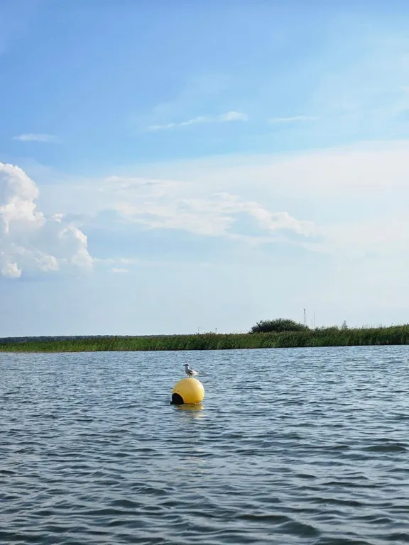 Дом у моря, Порт Пичуги