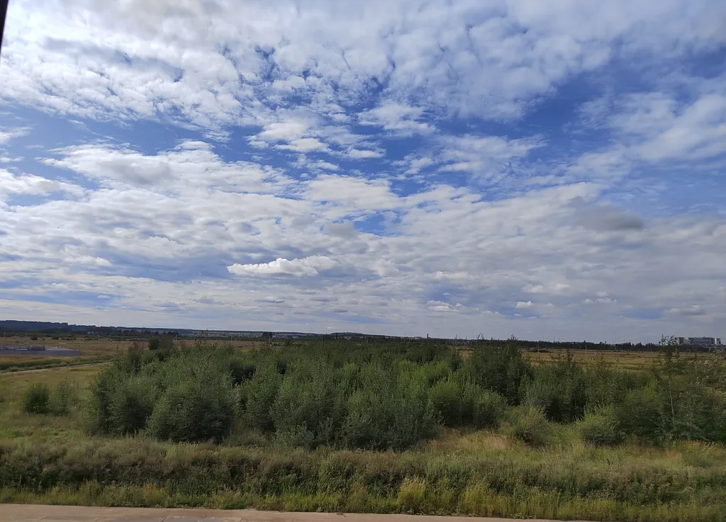 Студия уюта с видом на лес