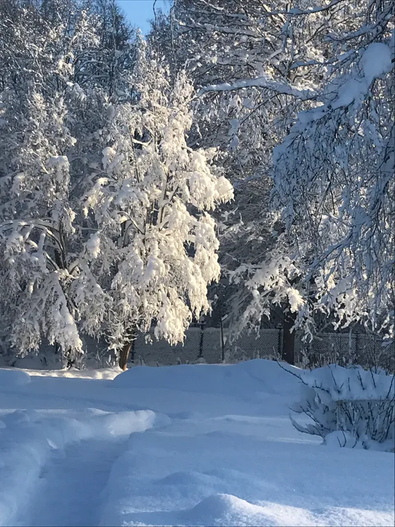 Коттедж Домик у лесного озера — Приозерск