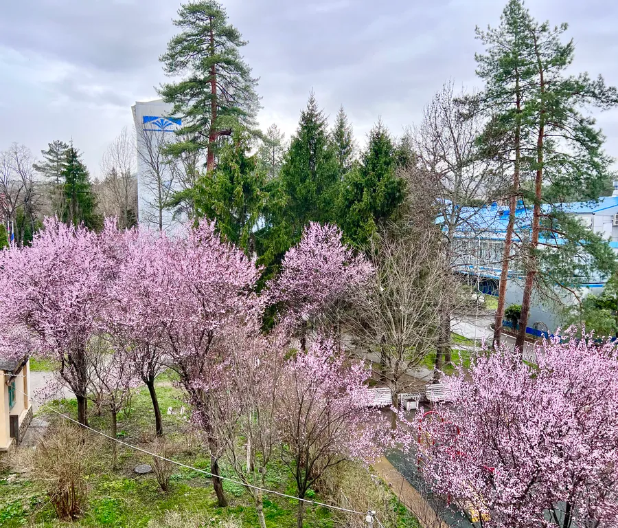 Квартира Квартира в санаторном парке — Горячий Ключ