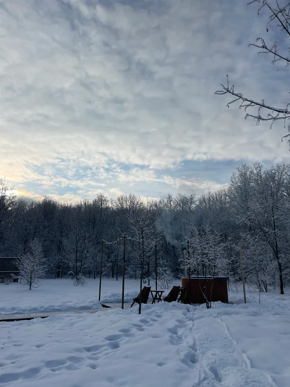 Уютный панорамный треугольный дом A-frame с видом и окружением леса