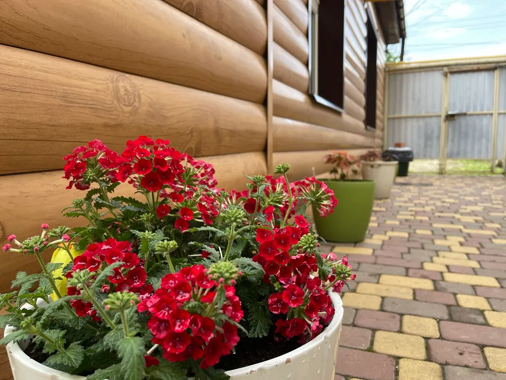 Коттедж Коттедж Белая дача — Ейск