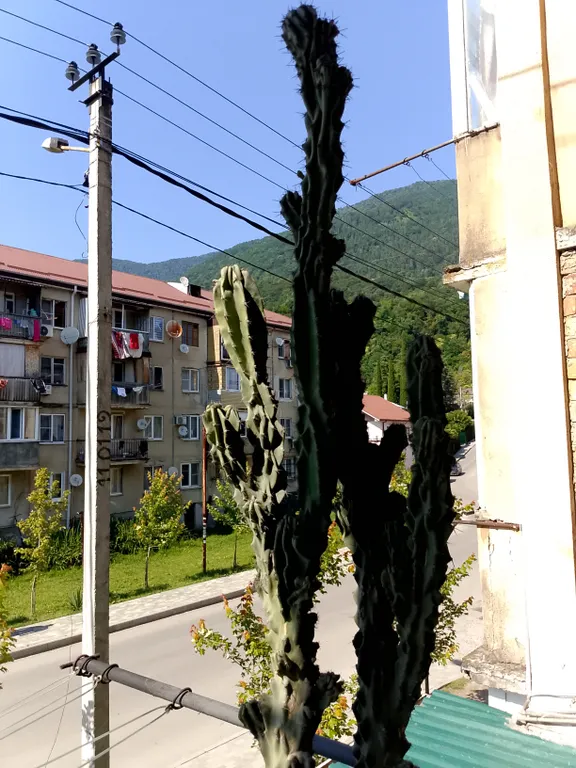 Квартира в центре курорта с дизайнерским ремонтом и открытым балконом