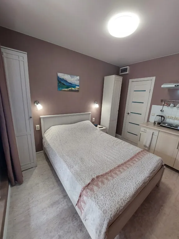 Номер-студия в центре для отдыха и деловых поездок