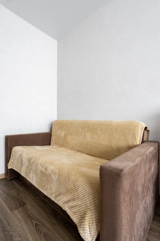 Большая однокомнатная квартира на Красной