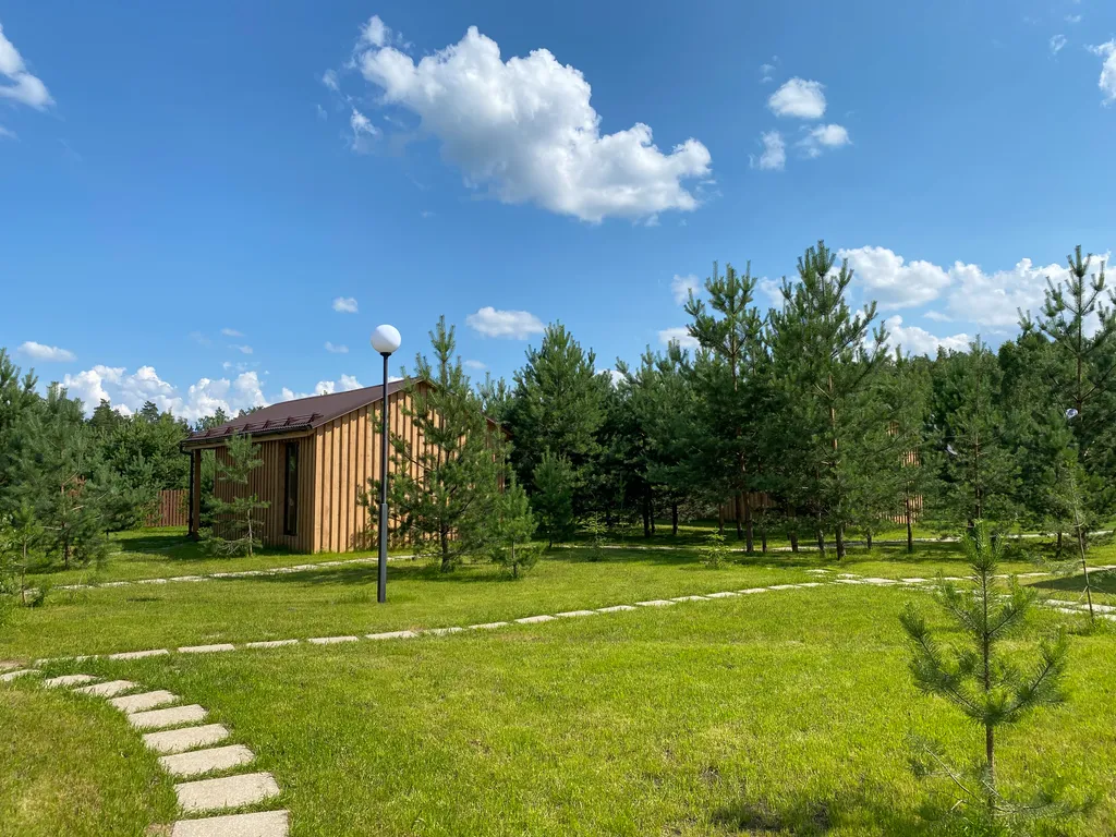 Уютный коттедж в лесу у пруда