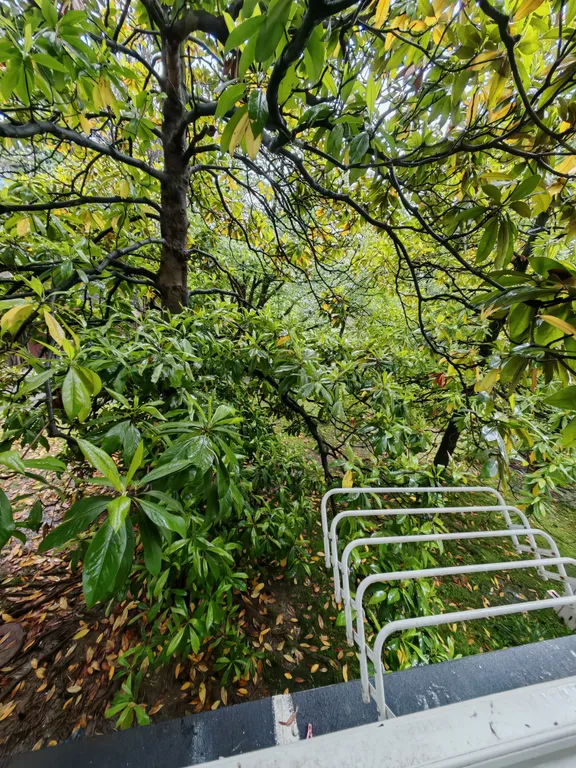 Квартира Квартира Студия с выделенной зоной лоджии на первой береговой линии — Сочи