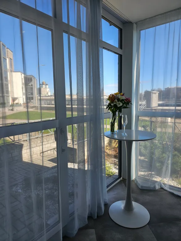 Студия с видом на Кремль