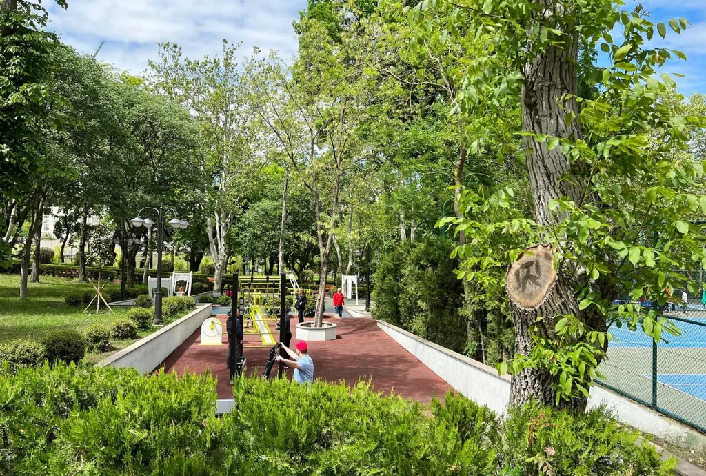 Дом, милый дом в центре города, Район Ваке