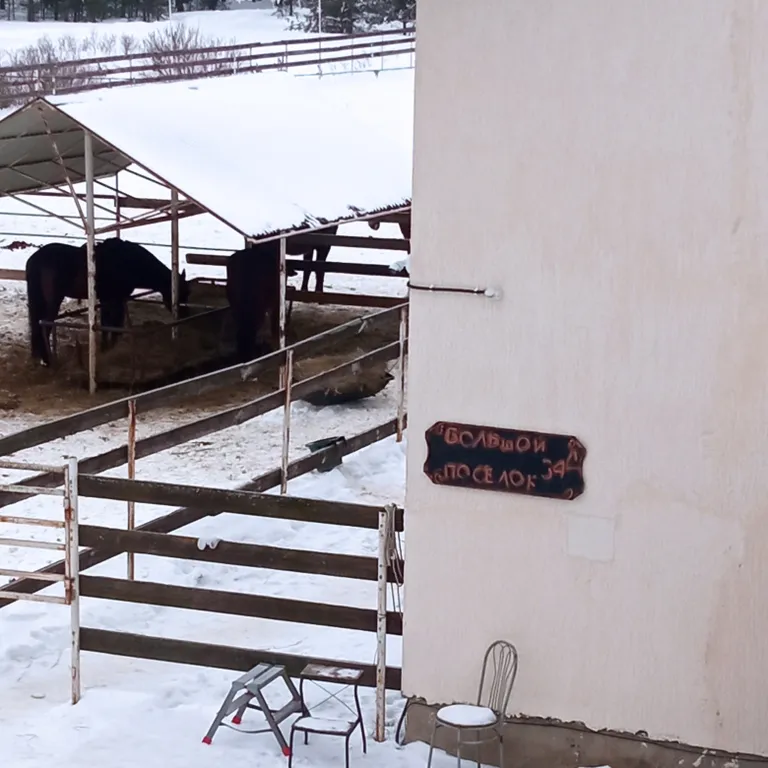 Студия Сканди Олива