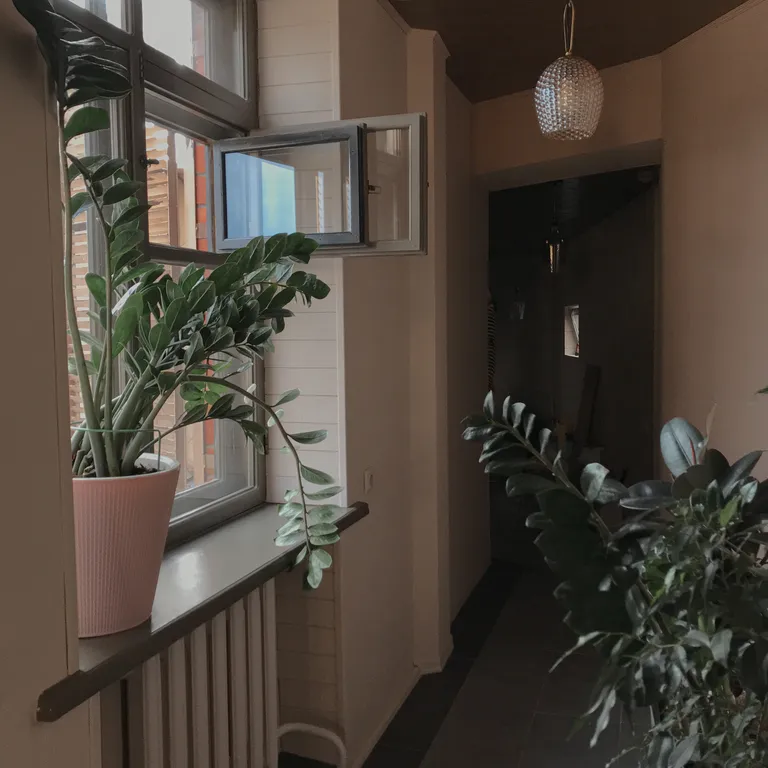 Шикарные апартаменты Фриды Кало в самом центре