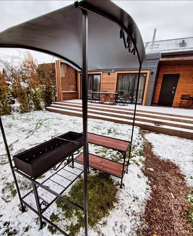 Стильный дом у озера Разлив