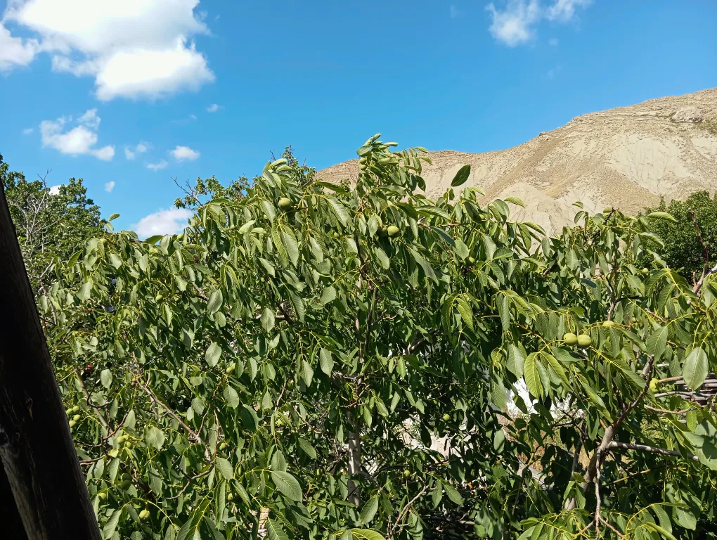 Деревянная мансарда с балконом