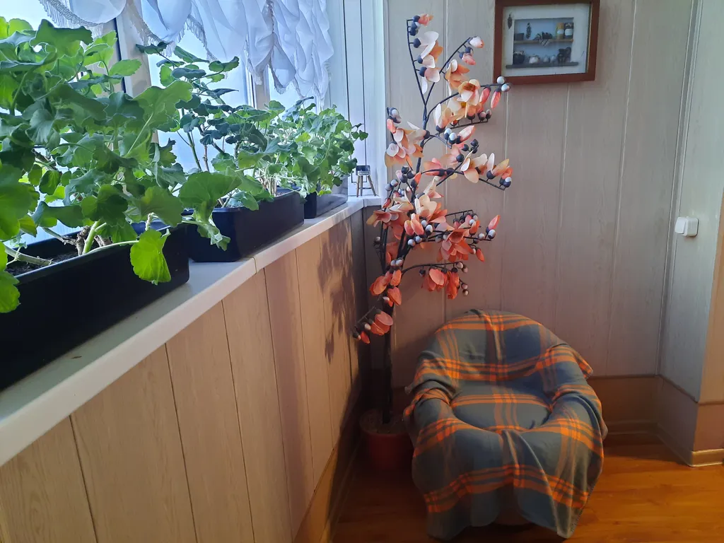 Квартира Квартира с оранжевым настроением у цирка — Ярославль