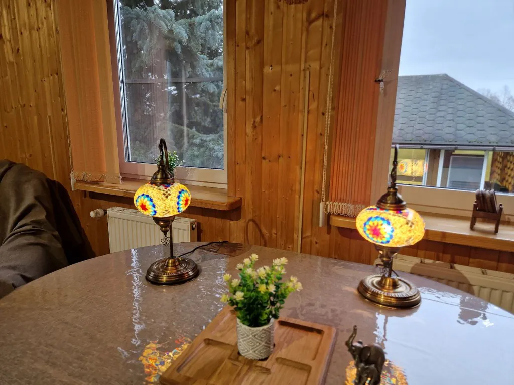 Дом с финской сауной внутри дома с большой беседкой и барбекю