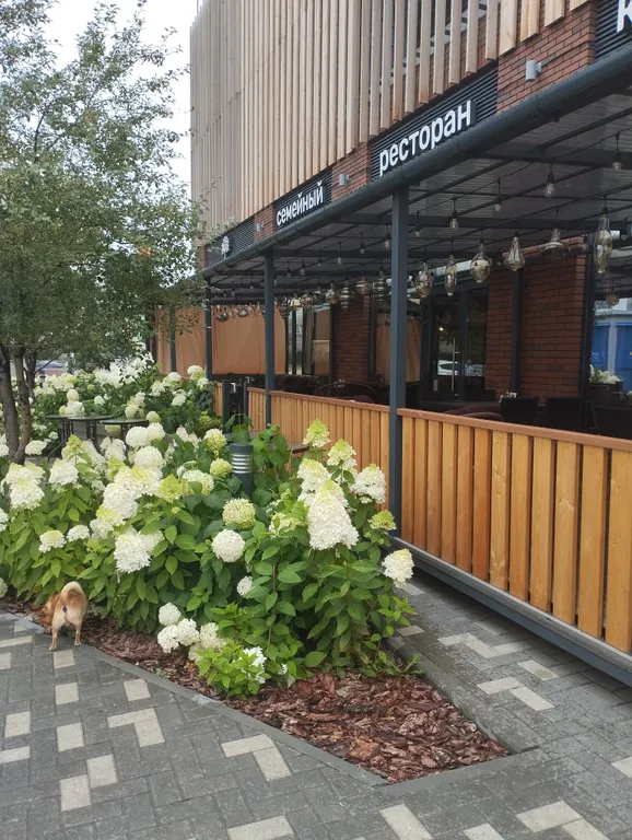 Уютная квартира в микрорайоне Европейский