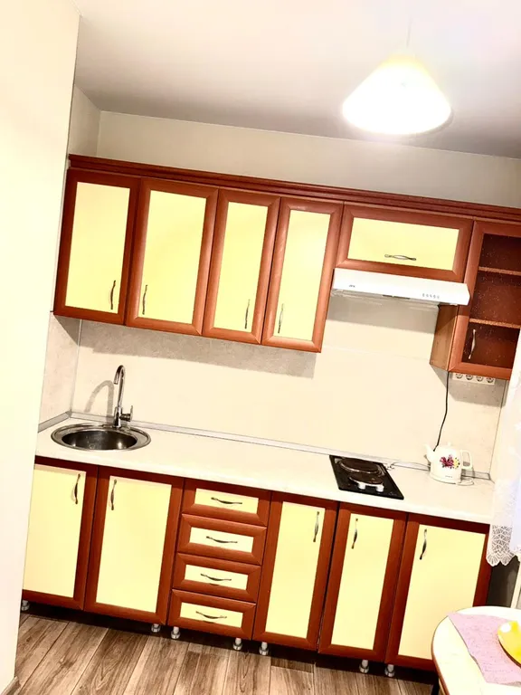 Квартира в Ленинском районе Радищева