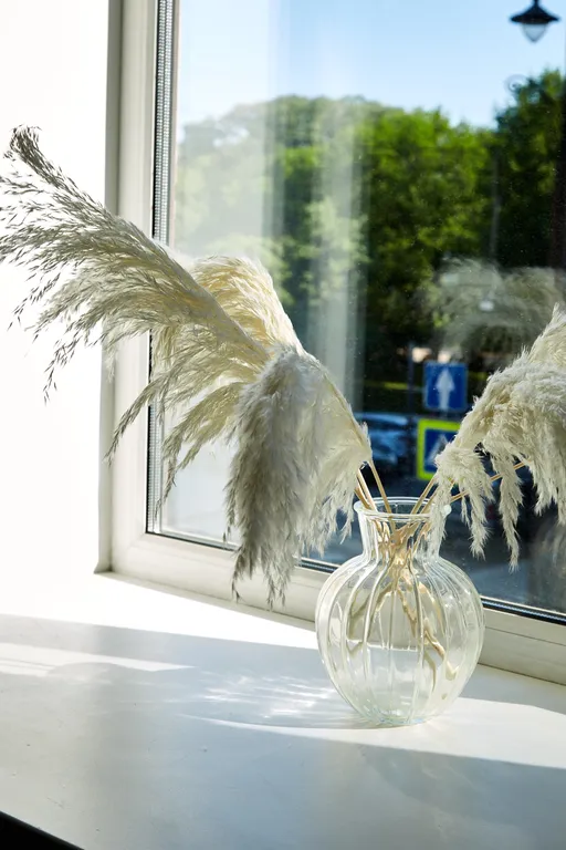 Wow-студия у библиотеки Аалто