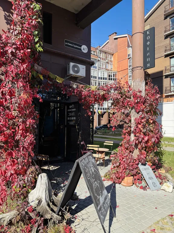 Атмосферная однушка в историческом центре города от Kravc Group