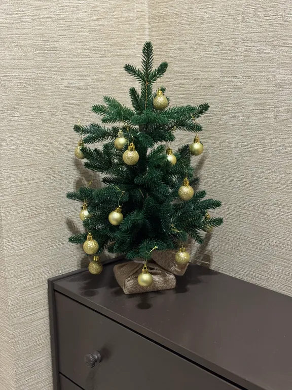 Двухкомнатная квартира с бесконтактным заселением